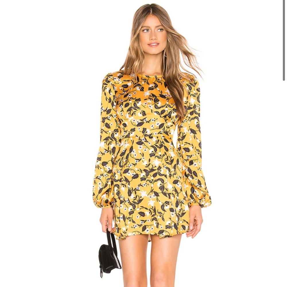 Tularosa Brixton dress.